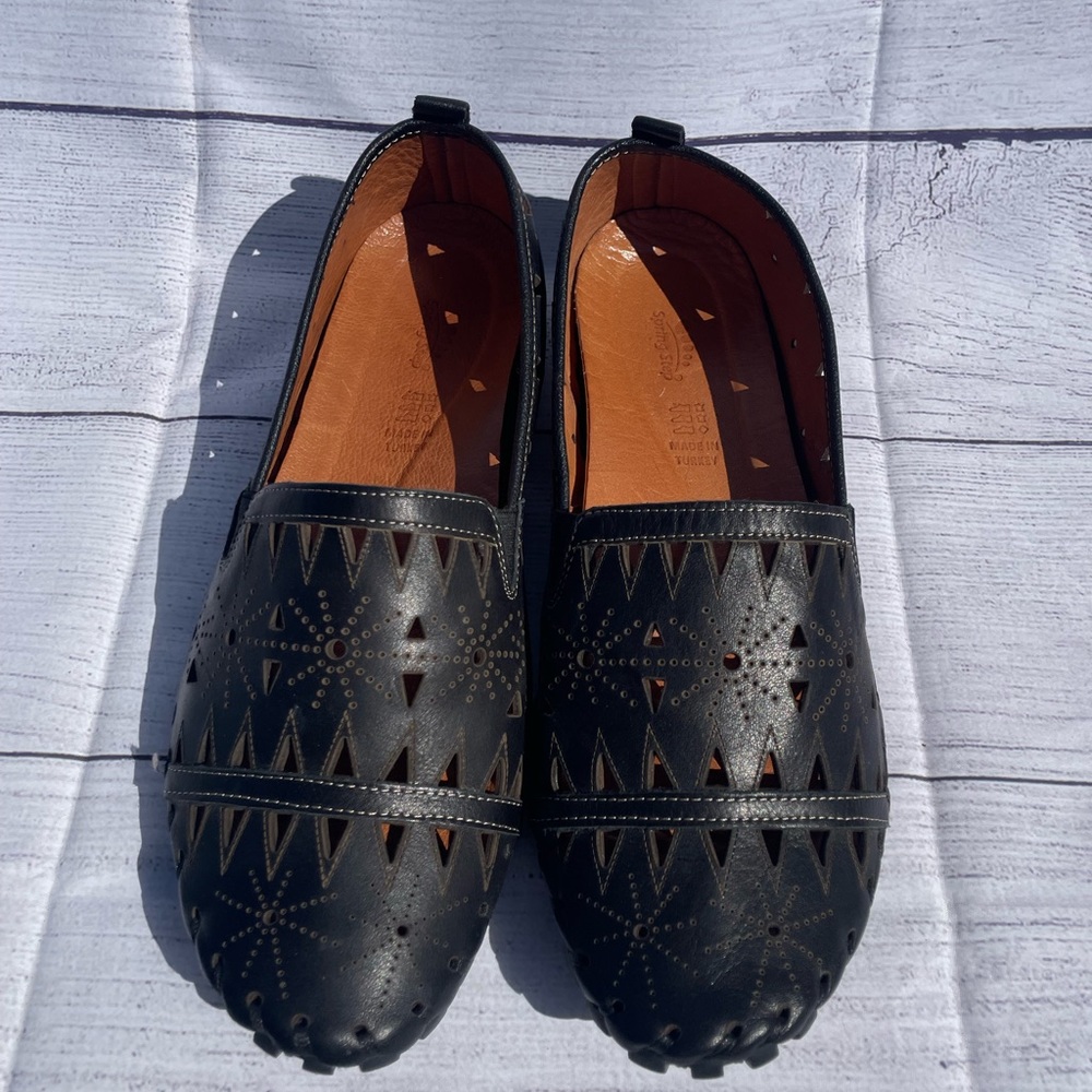 Men’s Spring Steps sandals
